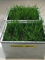 5936412c0b024.jpg 9.jpg